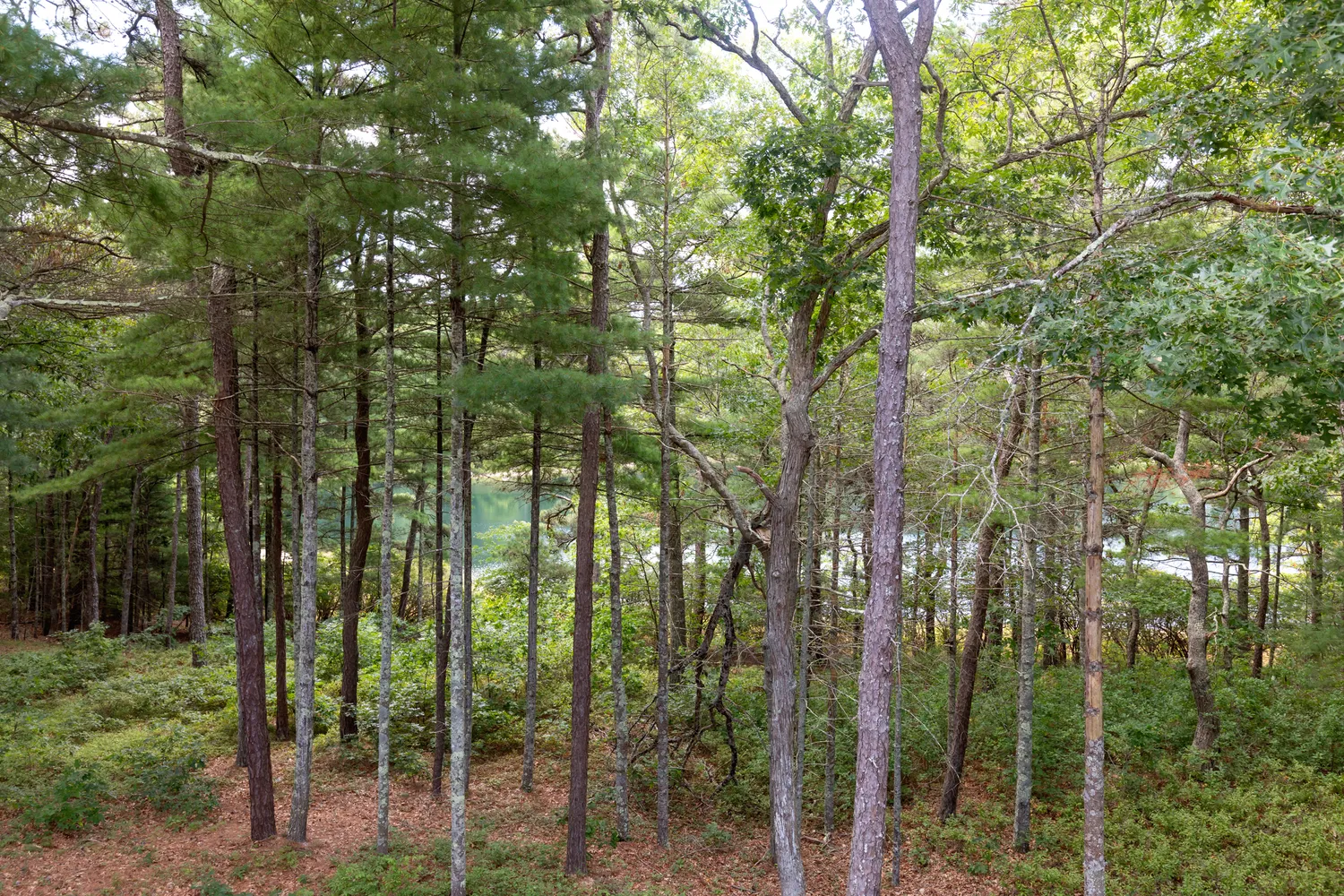 $765,000 | 19 Red Leaf, Plymouth, MA 02360