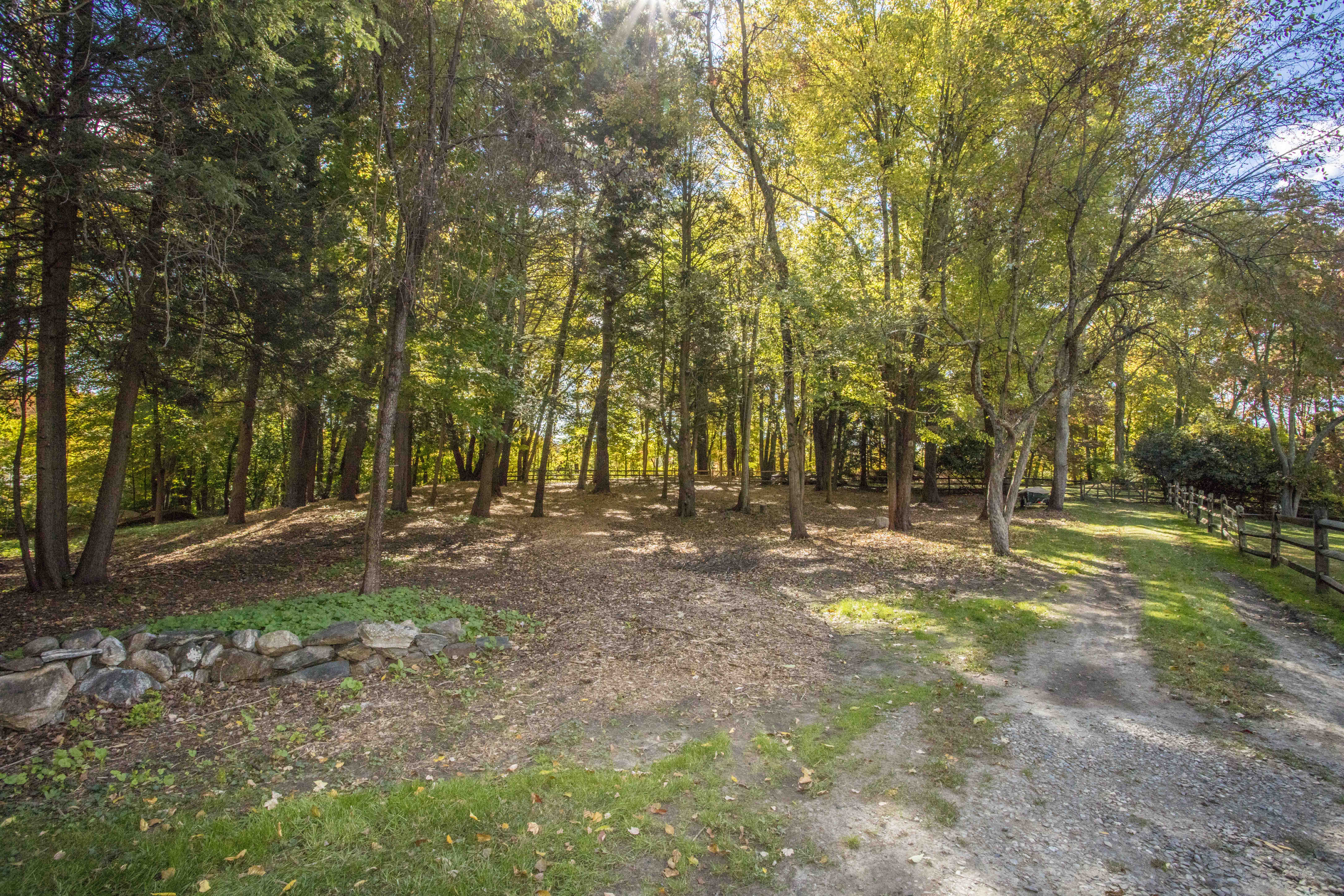 41 Harris Road Katonah, NY 10536 - Photo 41 of 48 a view of a tree in the middle of a yard