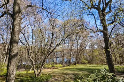 a view of a trees with a yard