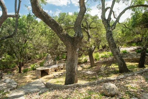 a view of a trees in the yard