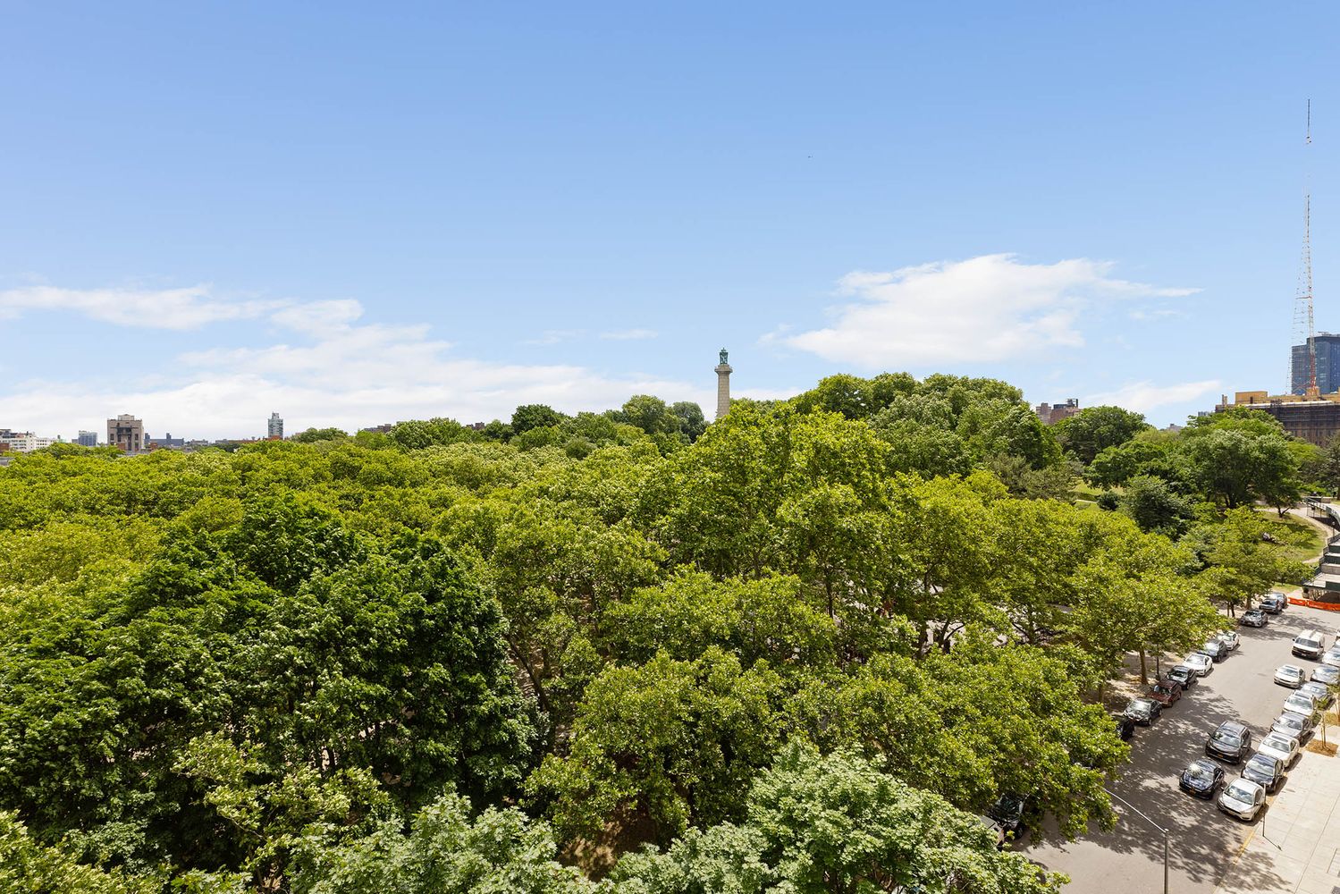 a view of a green field