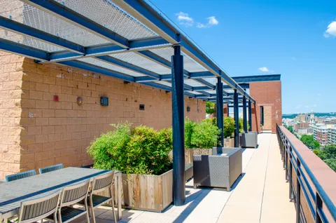 a backyard of a house with lots of green space and plants