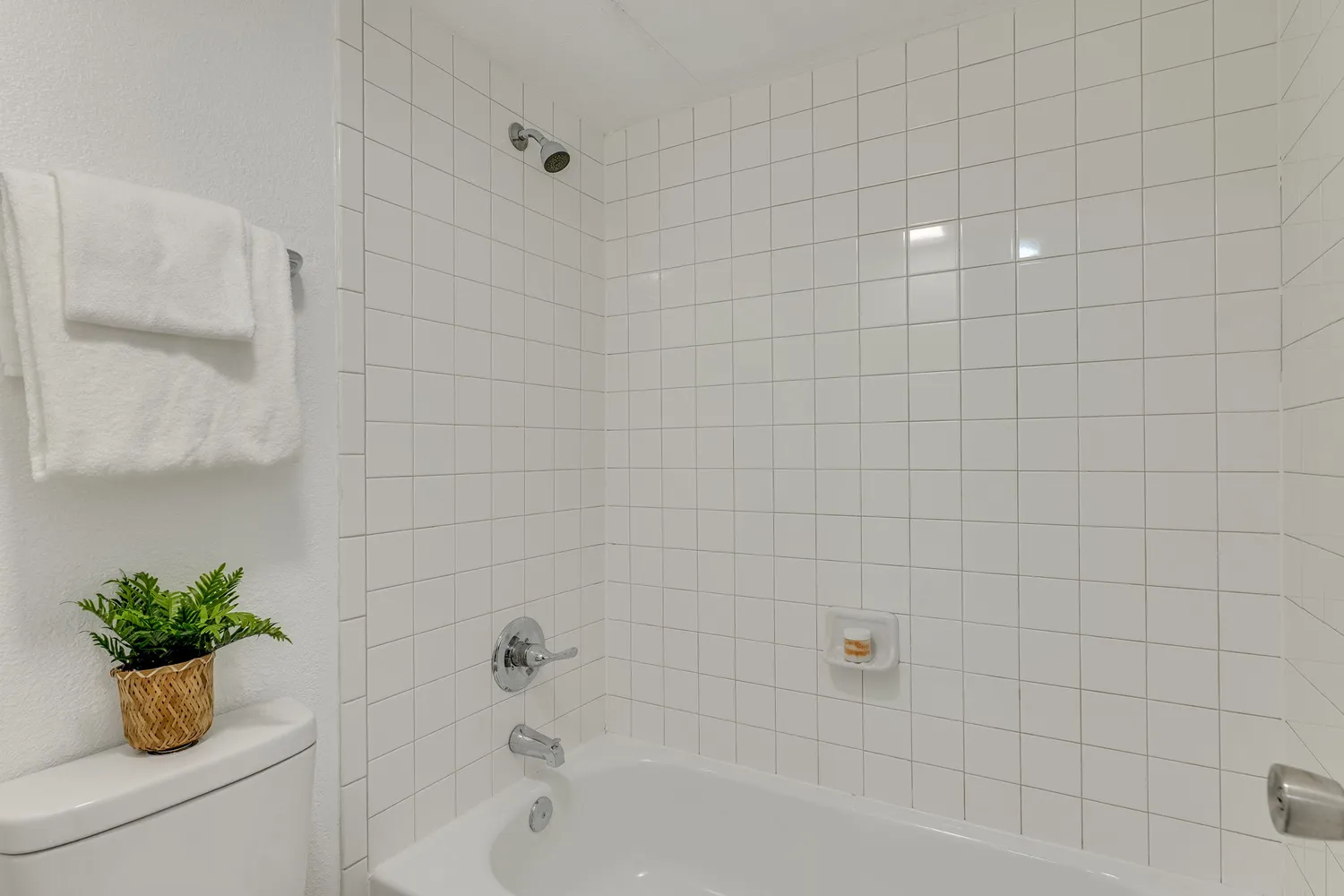 a view of a chairs and table in backyard