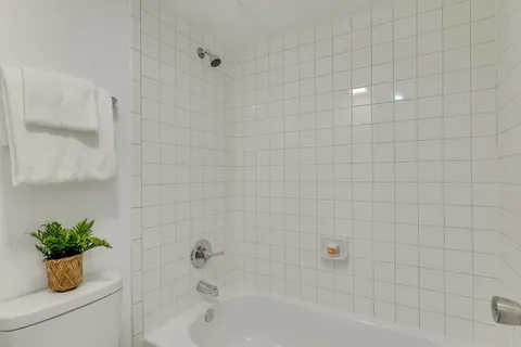 a view of a chairs and table in backyard