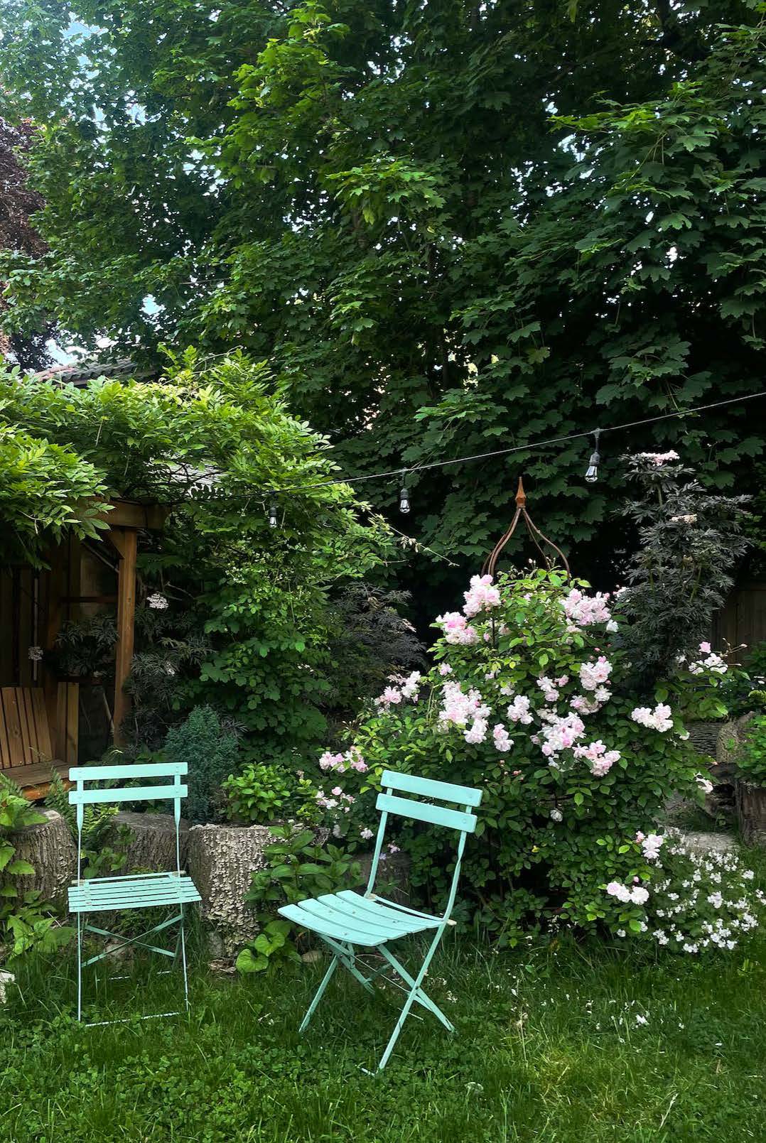 85 Westminster Road Brooklyn, NY 11218 - Photo 18 of 32 Gallery Image 18