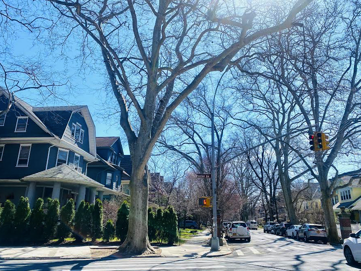 601 East 19th Street, Unit 6J Brooklyn, NY 11226 - Photo 7 of 10 a view of a street with houses