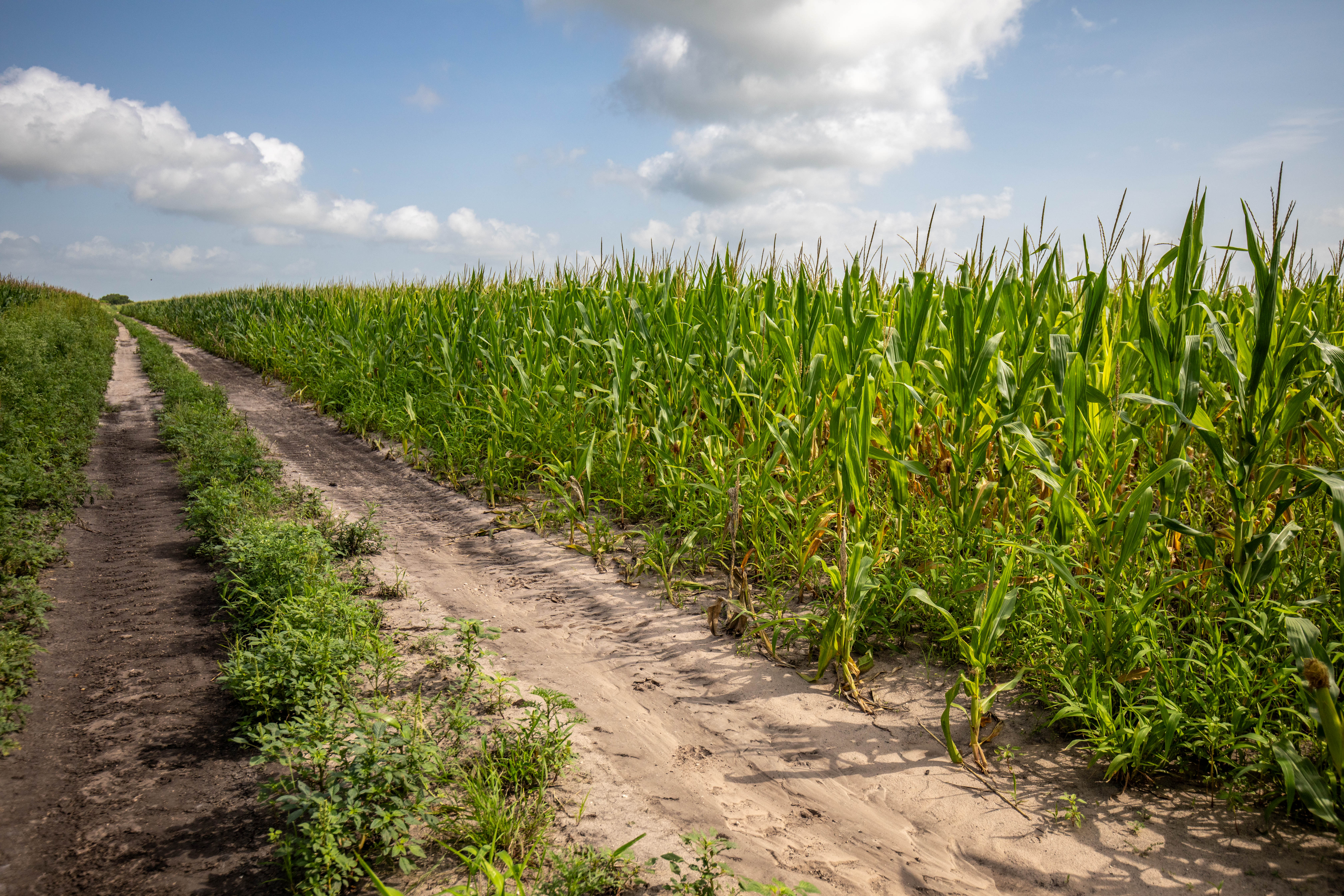 0 Fm 888 Mathis, TX 78368 - Photo 15 of 18