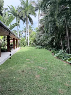 a view of a yard in front of house