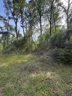 $15,000 | 20 Lake Forest Drive, Livingston, TX 77351