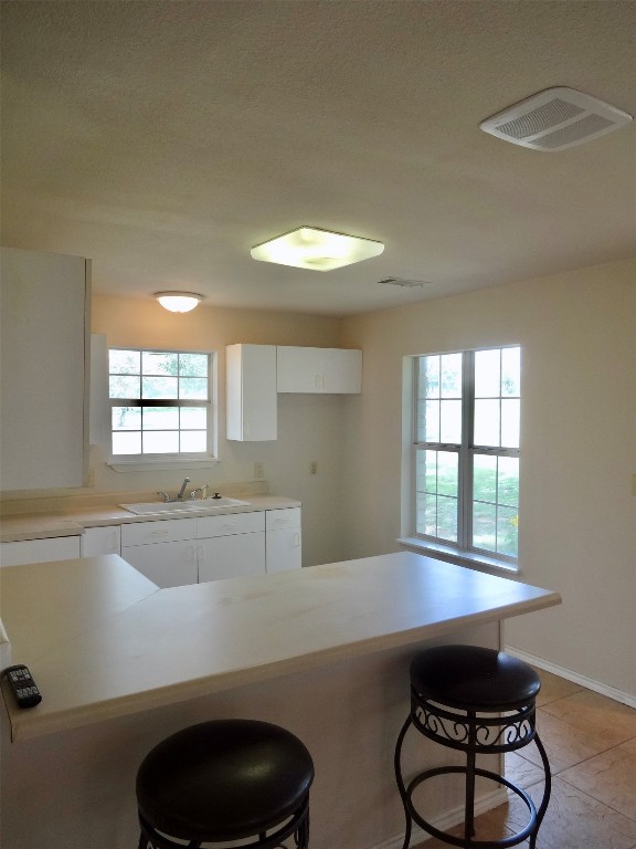 111 Trinity Street Cedar Creek, TX 78612 - Photo 37 of 38 a kitchen with a sink and a window