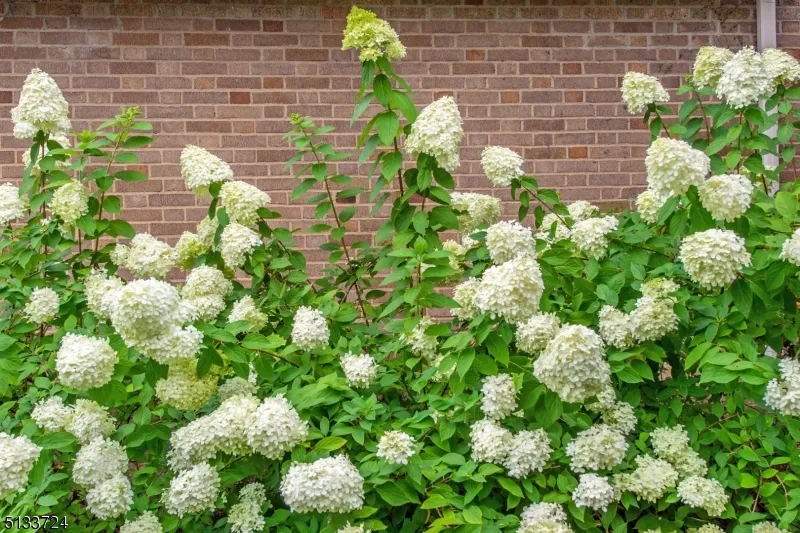 $2,274,900 | 281 Forest Avenue, Glen Ridge, NJ 07028