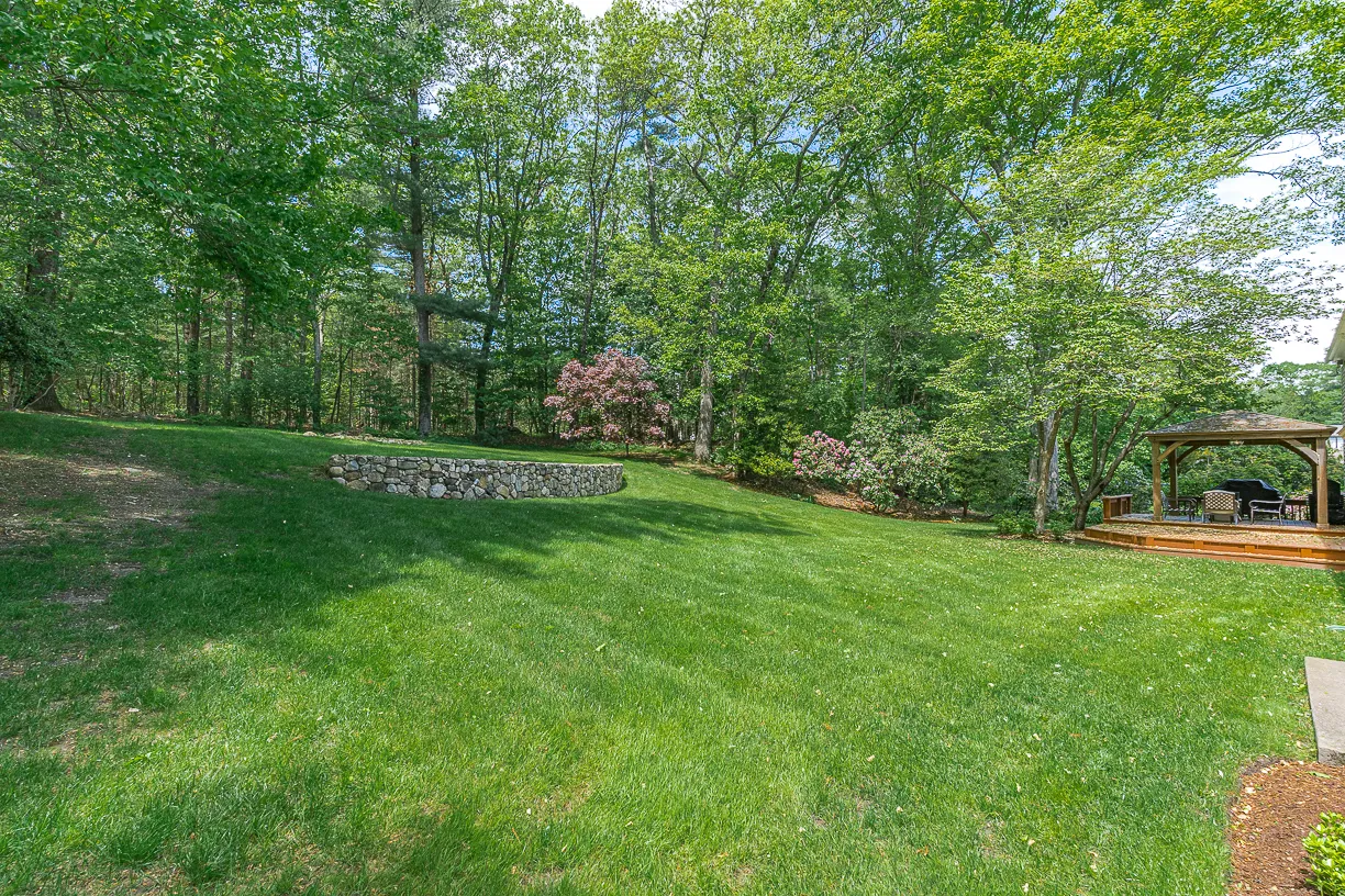a view of a grassy field with trees