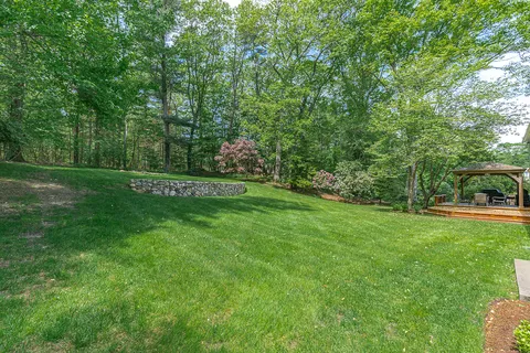 a view of a grassy field with trees