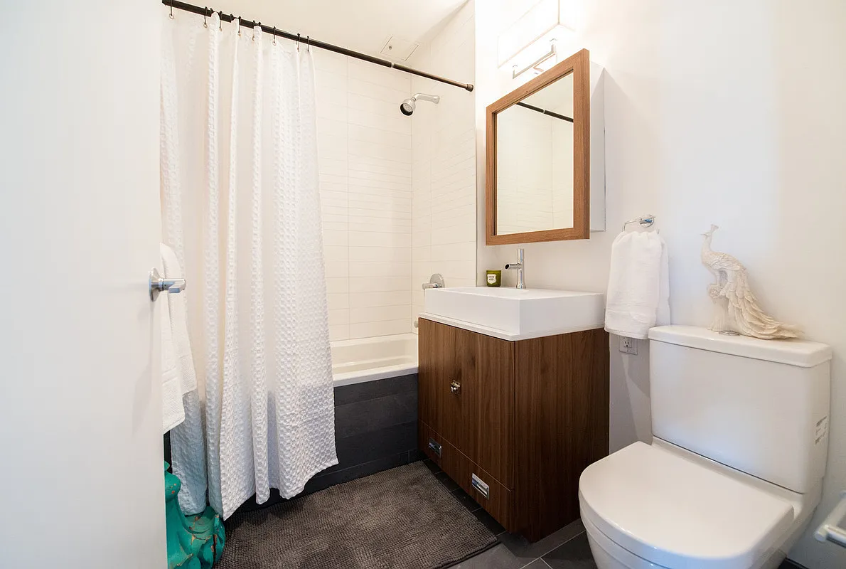 500 Sterling Place, Unit 5B Brooklyn, NY 11238 - Photo 4 of 13 a bathroom with a sink a toilet a mirror and shower curtain