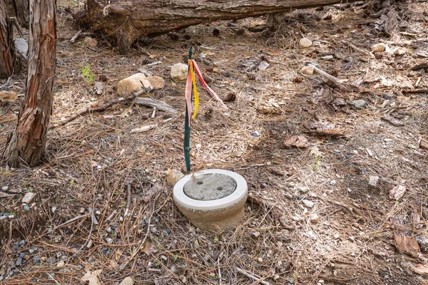 a view of outdoor space with trees