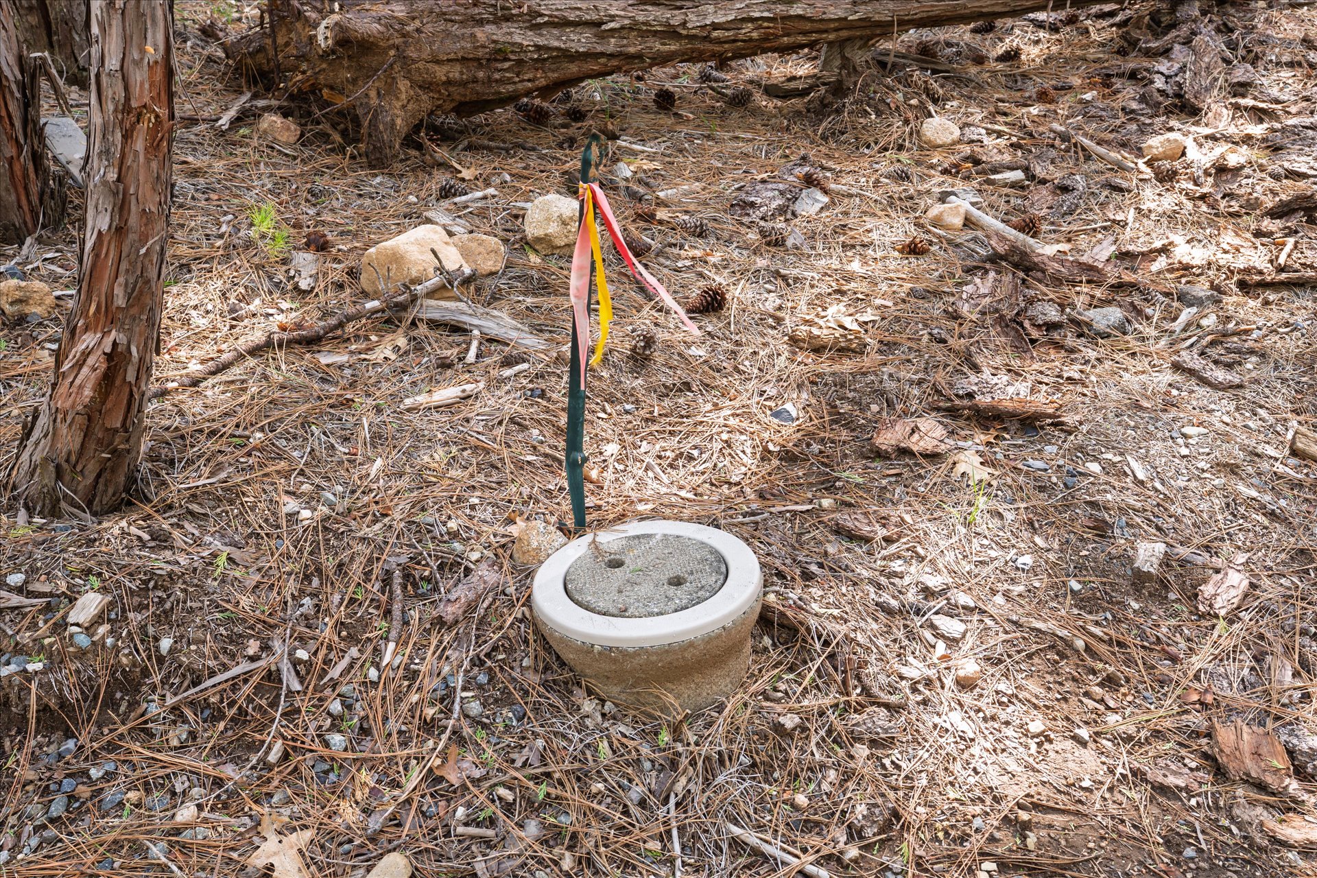 0 Koon Hollar Wawona, CA 95389 - Photo 15 of 31 a view of a backyard of a house with a fountain