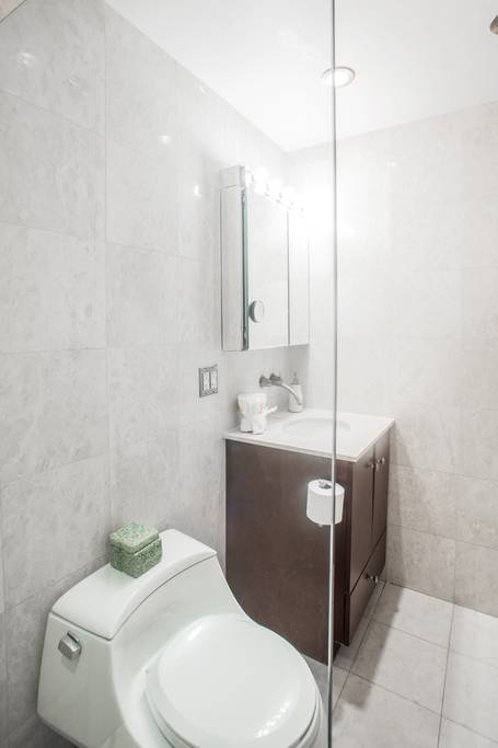 153 Stanton Street, Unit A1 Manhattan, NY 10002 - Photo 14 of 16 a bathroom with a toilet sink and mirror