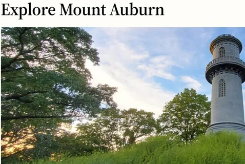 $739,000 | 18 School Lane, Unit 1, Watertown, MA 02472