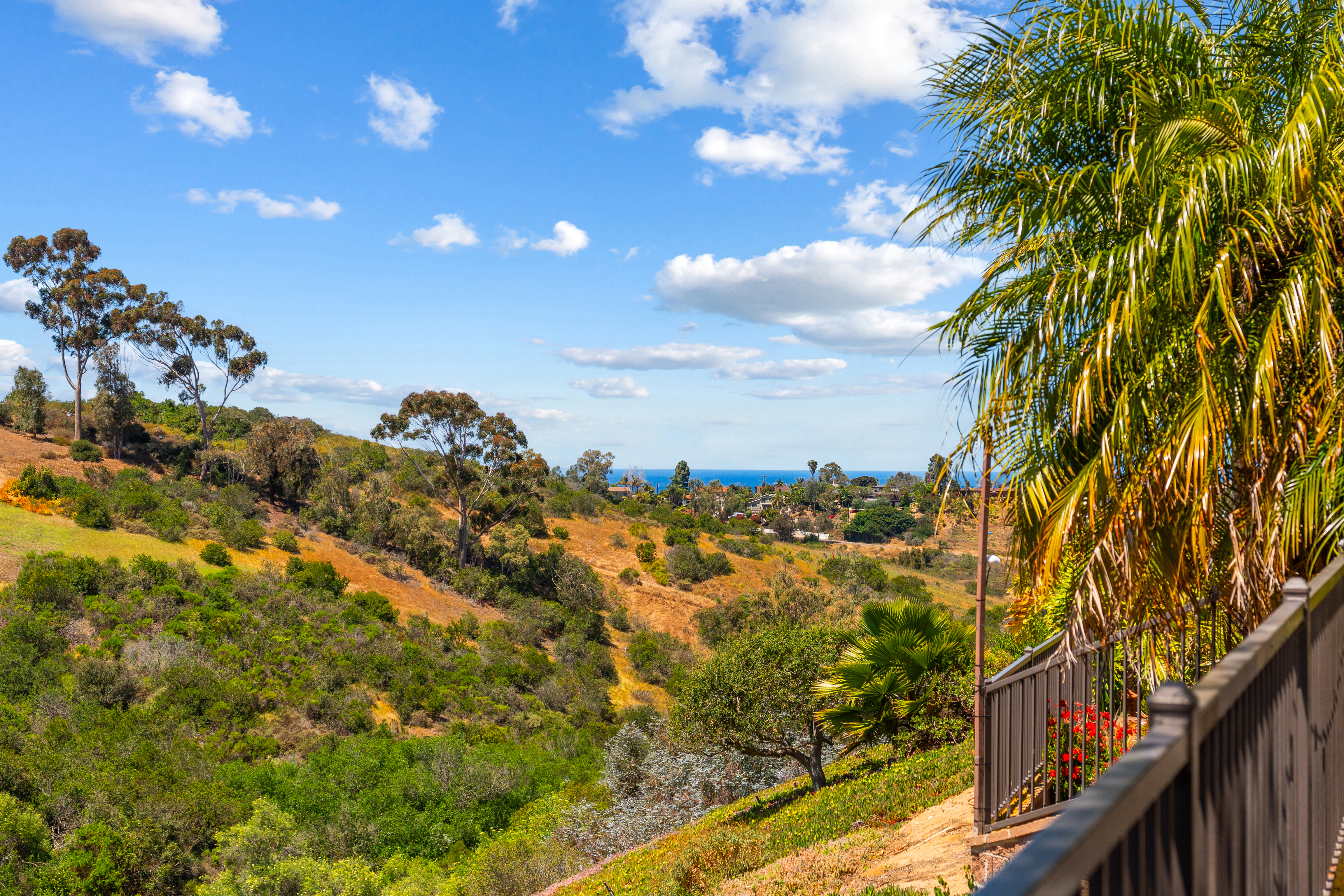 1393 Ranch Road Encinitas, CA 92024 - Photo 8 of 33