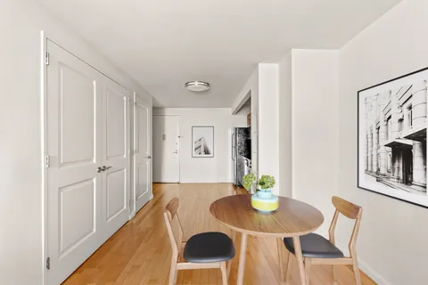 a view of a dining room with furniture and a potted plant