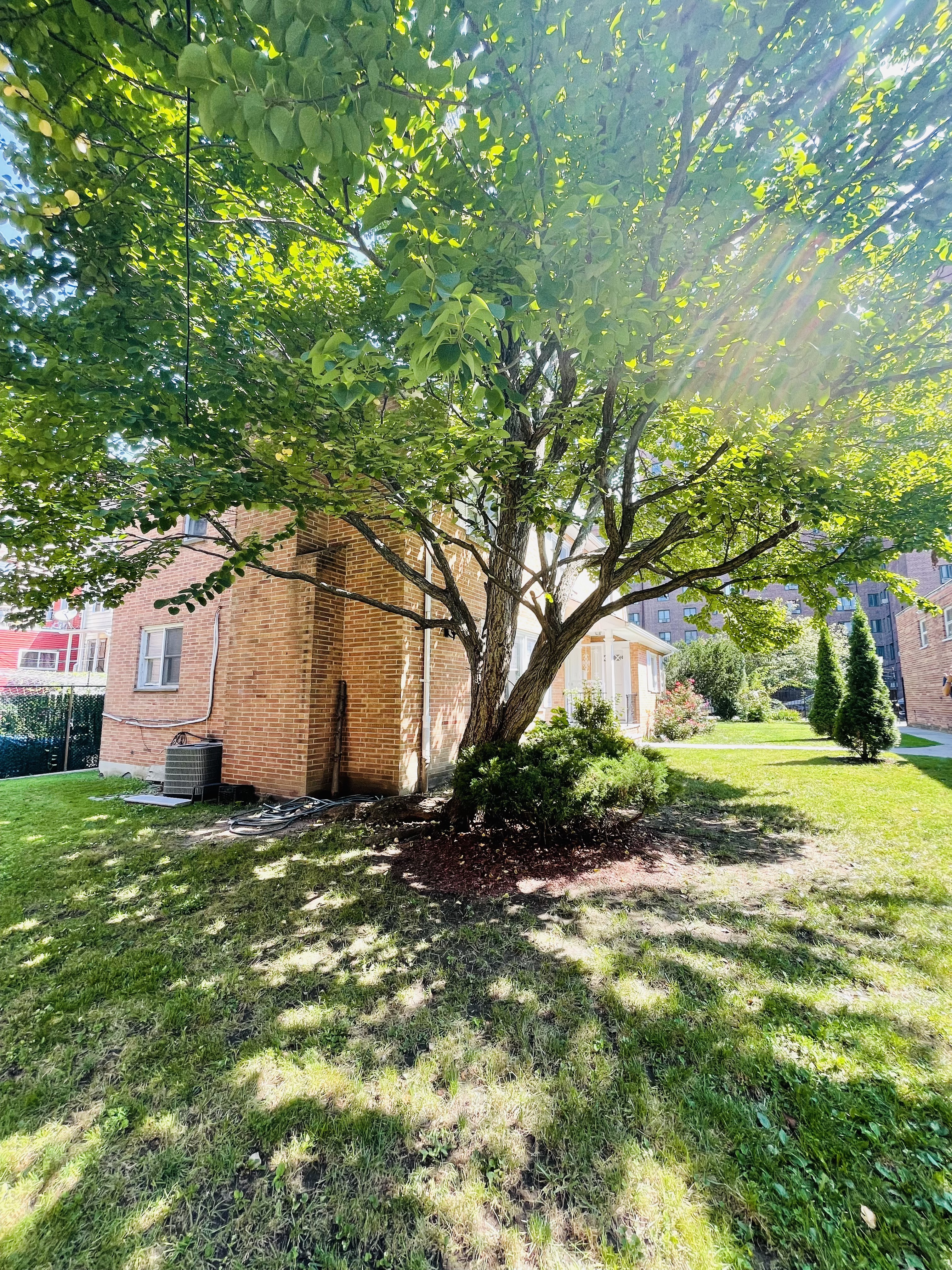 1361 Virginia Avenue Bronx, NY 10462 - Photo 17 of 20