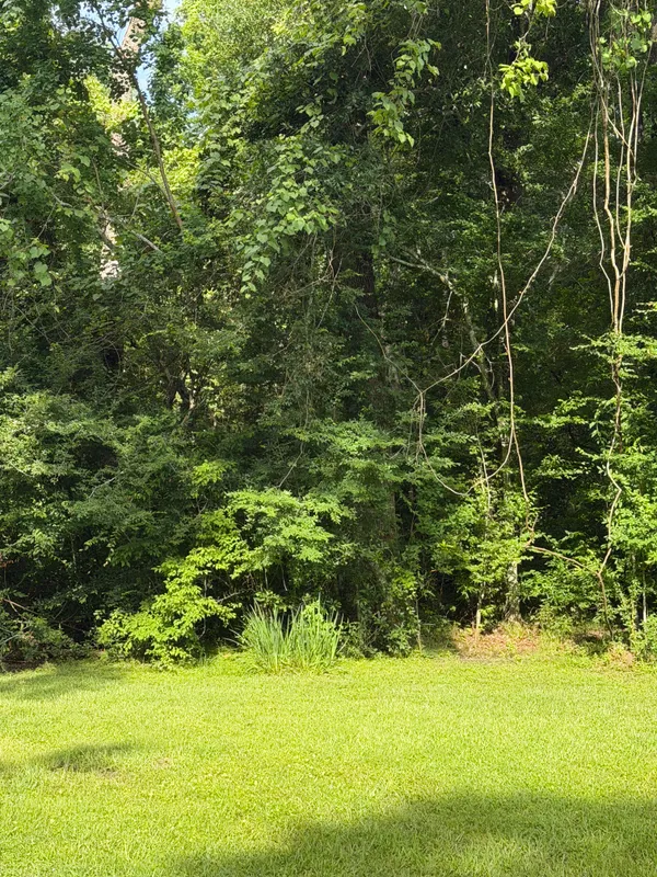 $120,000 | 42062 Galtier Zito Lane, Prairieville, LA 70769