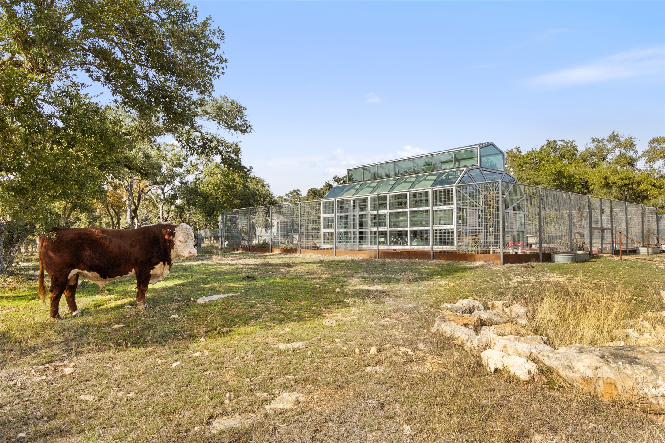 751 Prochnow Road Dripping Springs, TX 78620 - Photo 26 of 40