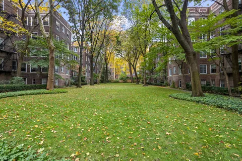 front view of a house with a tree