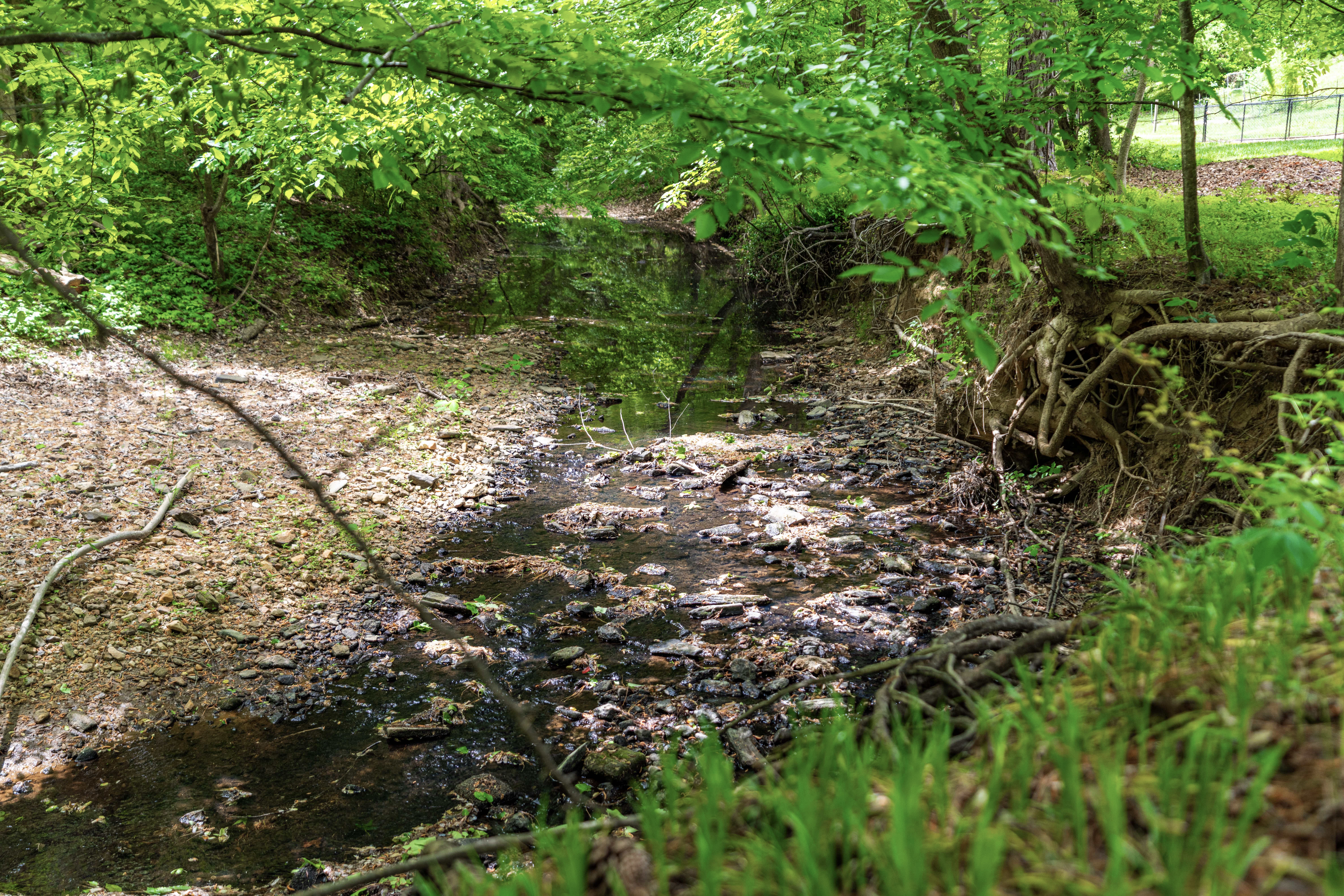 1109 Theresa Court Raleigh, NC 27615 - Photo 37 of 39