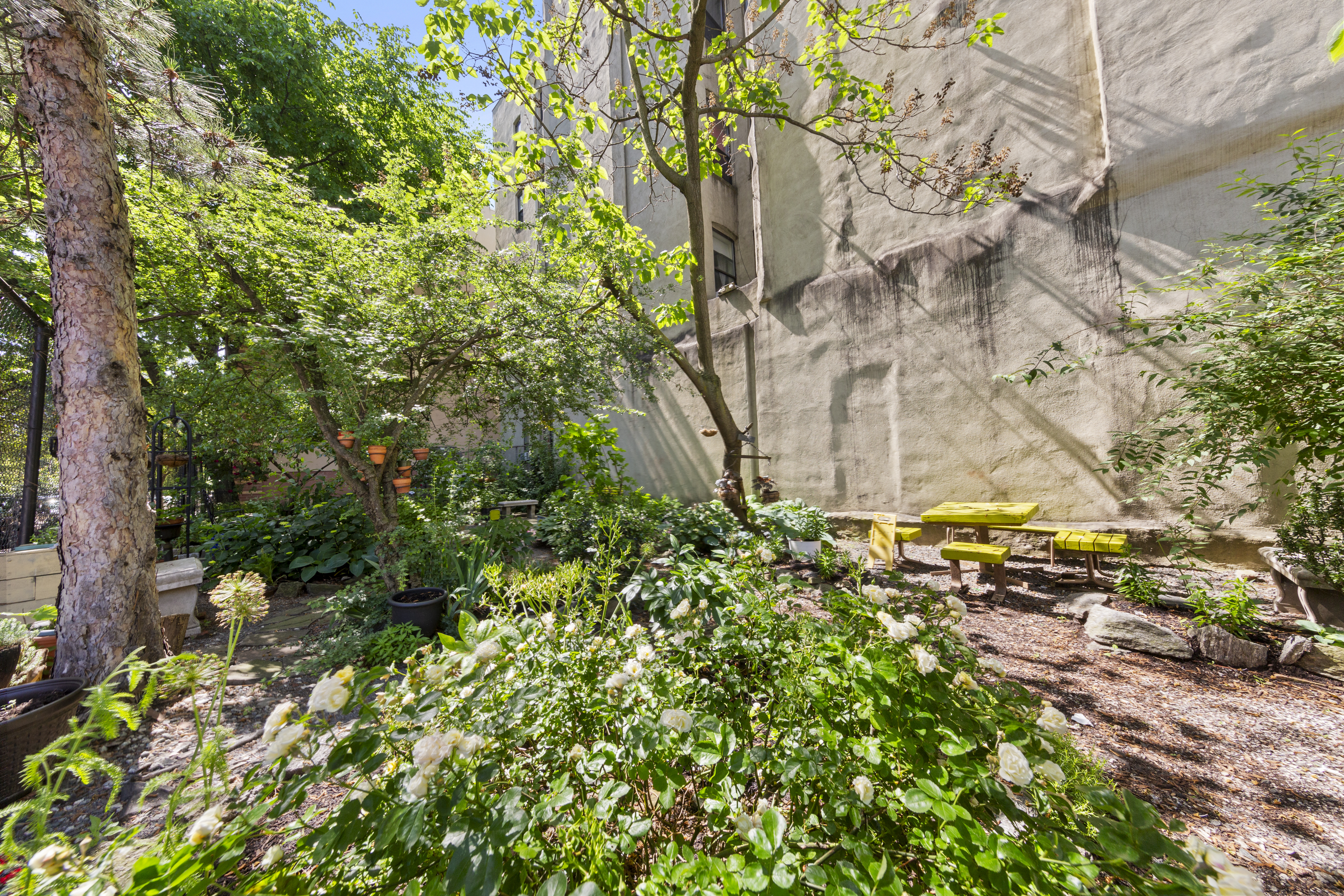 1777 Madison Avenue, Unit 24 Manhattan, NY 10035 - Photo 17 of 20 a backyard of a building with lots of green space
