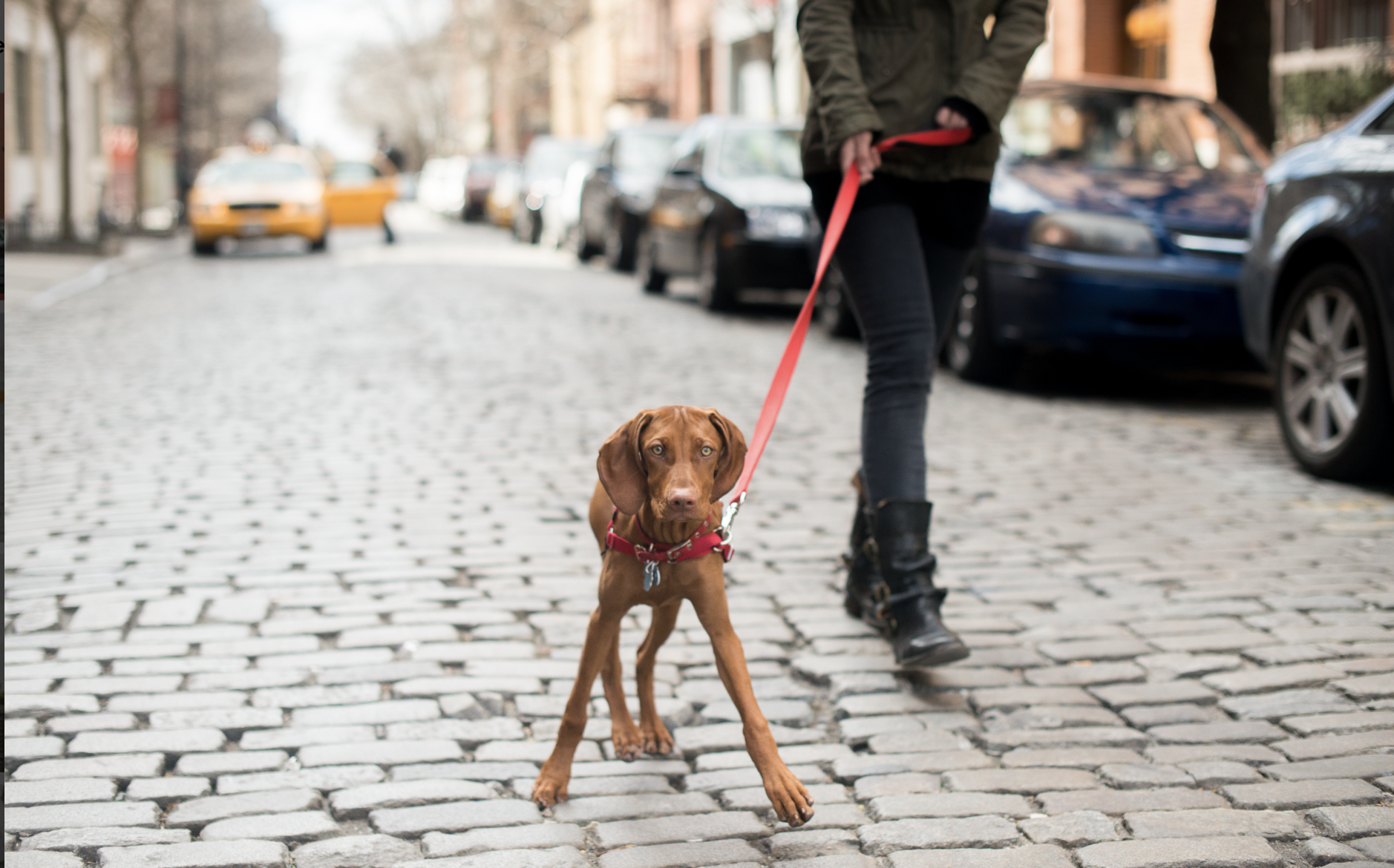 15 Charles Street, Unit 6G Manhattan, NY 10014 - Photo 11 of 14 a lamp that is sitting in a yard