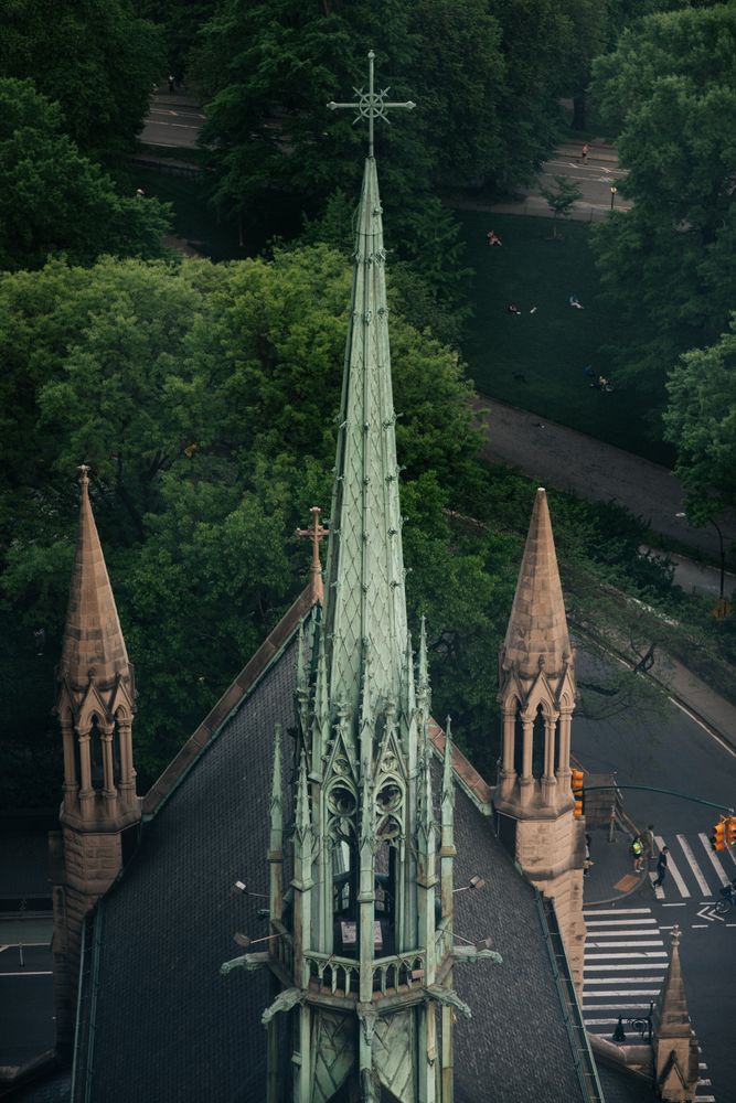 a kitchen with stainless steel appliances a stove a white cabinets and a potted plant