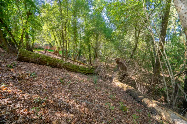 $125,000 | 10612 Canyon Road, Forestville, CA 95436