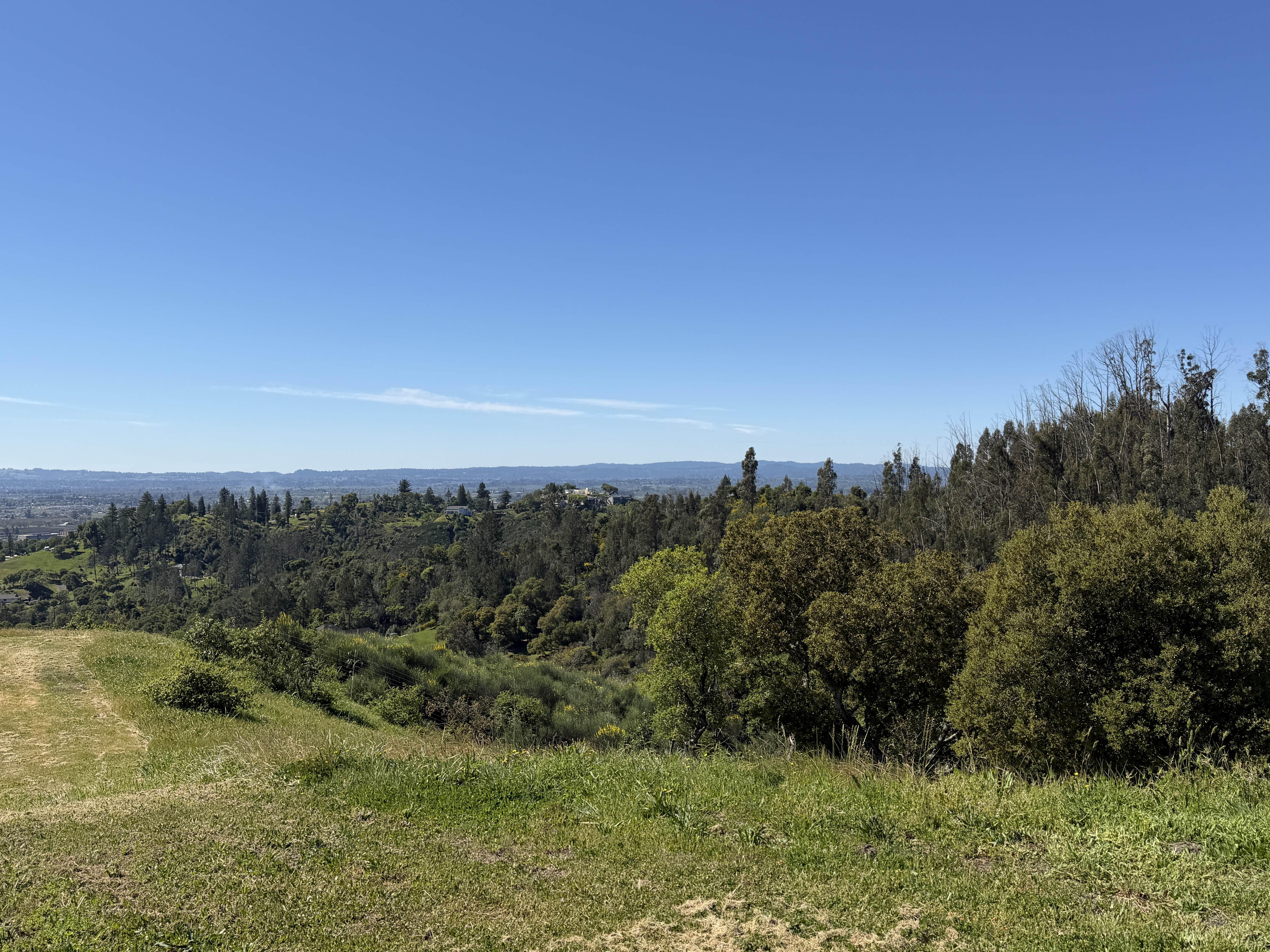 1196 Quietwater Ridge Santa Rosa, CA 95404 - Photo 33 of 36