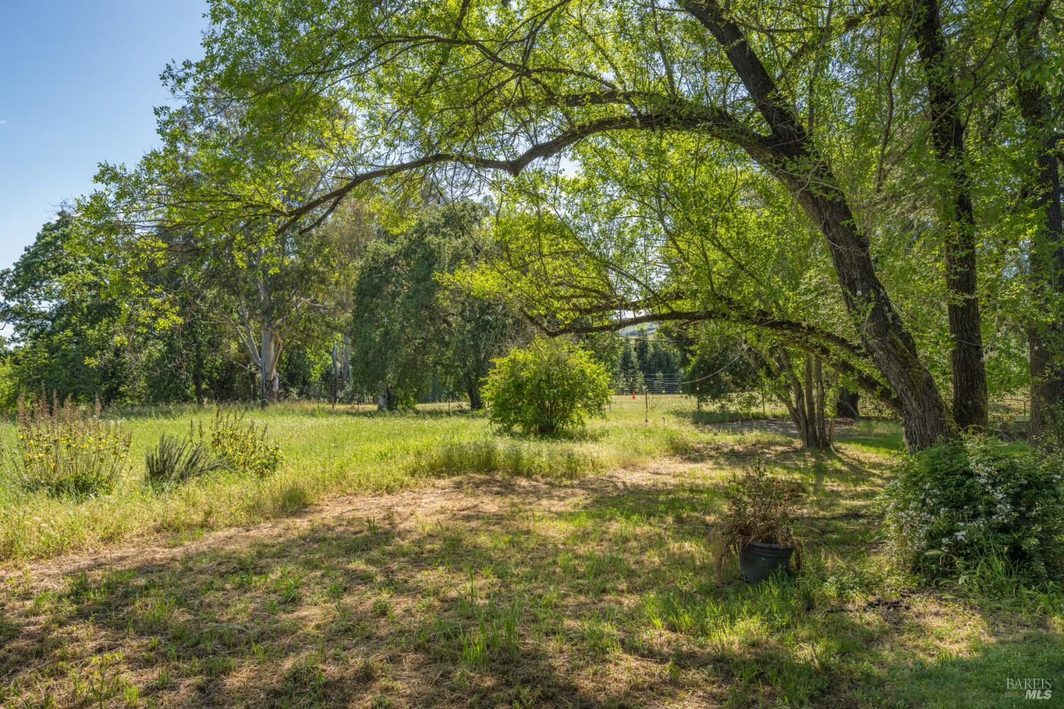 18320-18330 Carriger Road Sonoma, CA 95476 - Photo 22 of 46