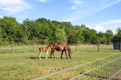 $1,290,000 | 332 John Shaw Road, Lewisburg, TN 37091