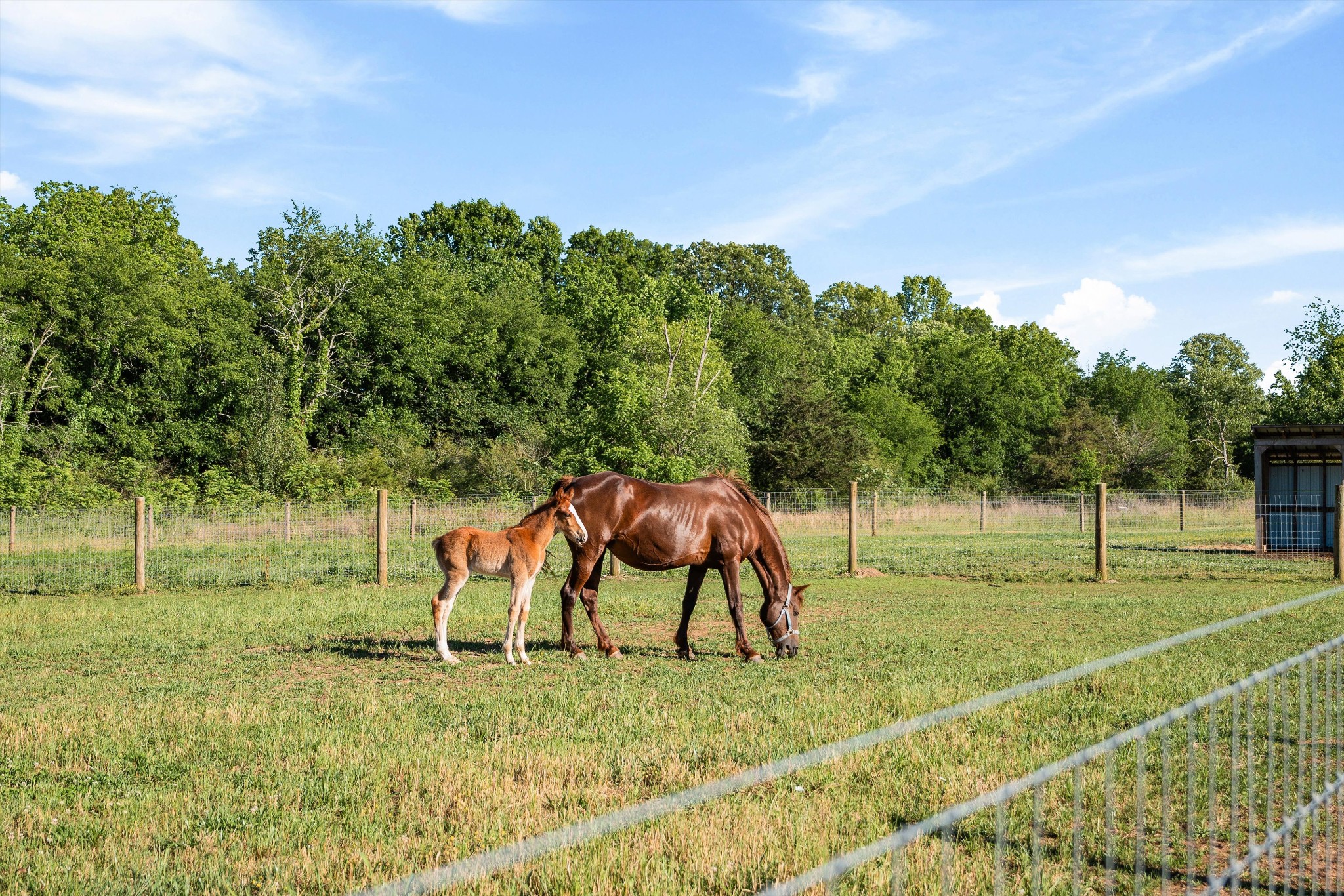 332 John Shaw Road Lewisburg, TN 37091 - Photo 64 of 79