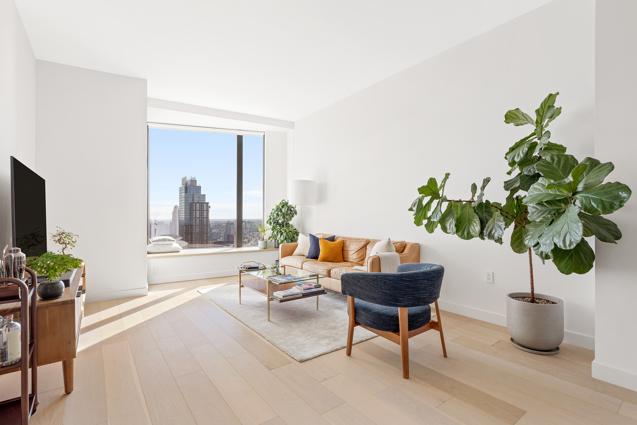 11 Hoyt Street, Unit 42C Brooklyn, NY 11201 - Photo 1 of 15 a living room with furniture potted plant and a window