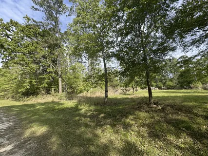 $15,000 | Lake Forest Drive, Livingston, TX 77351