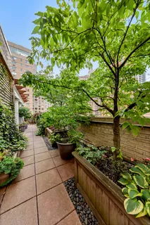 a view of a garden with potted plants