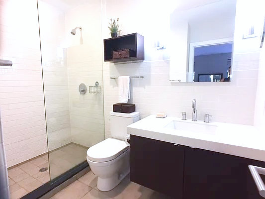 284 Warren Street, Unit 2 Brooklyn, NY 11201 - Photo 7 of 7 a bathroom with a sink a toilet and shower