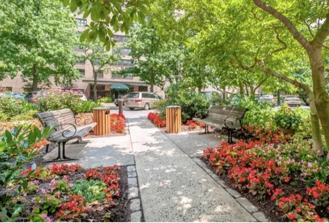 a view of a patio with a table and chairs and potted plants