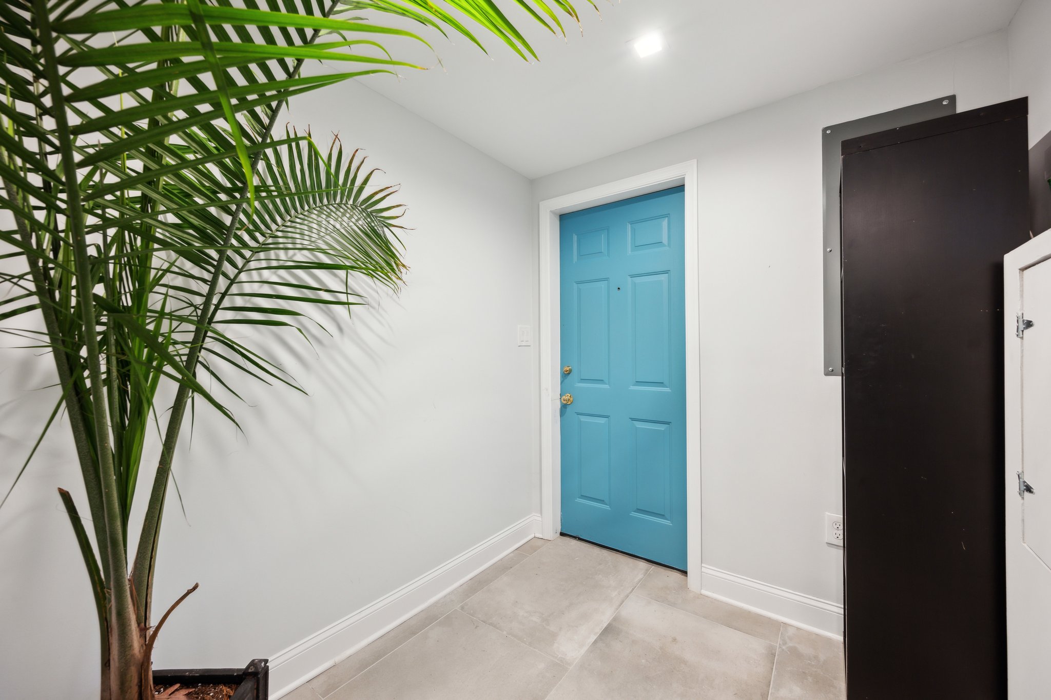 2607 Ross Road Chevy Chase, MD 20815 - Photo 31 of 37 an entryway with a plant in it