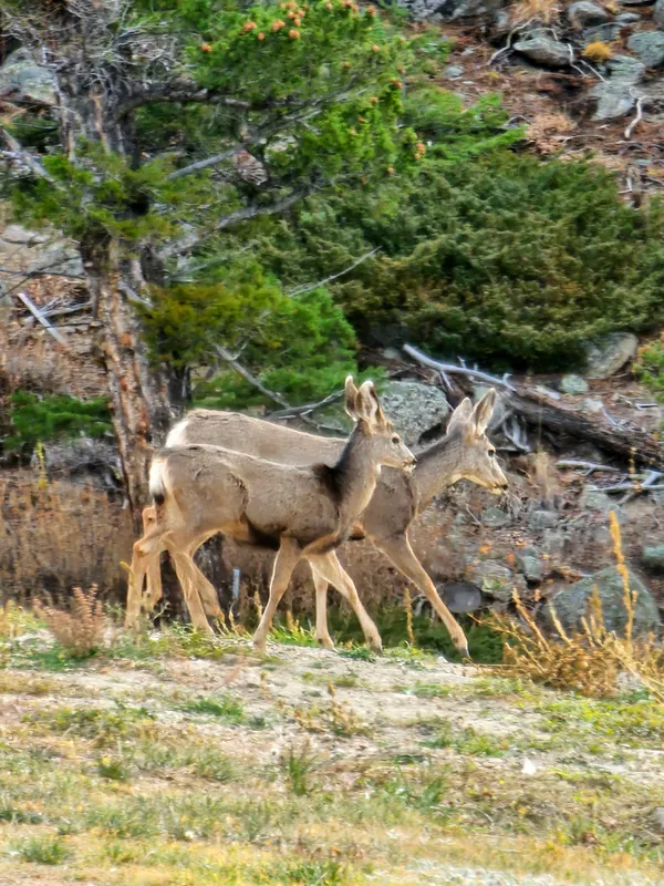 $2,100,000 | 323 Overlook Lane, Boulder, CO 80302