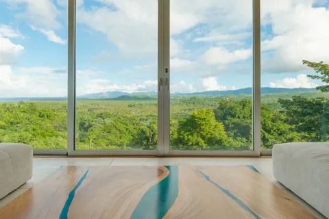 a front view of a house with a yard and potted plants