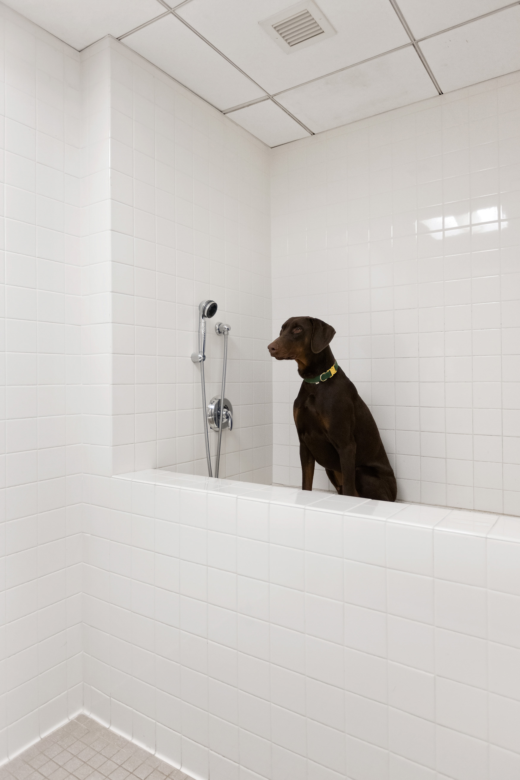 34 Leonard Street, Unit 3A Manhattan, NY 10013 - Photo 14 of 19