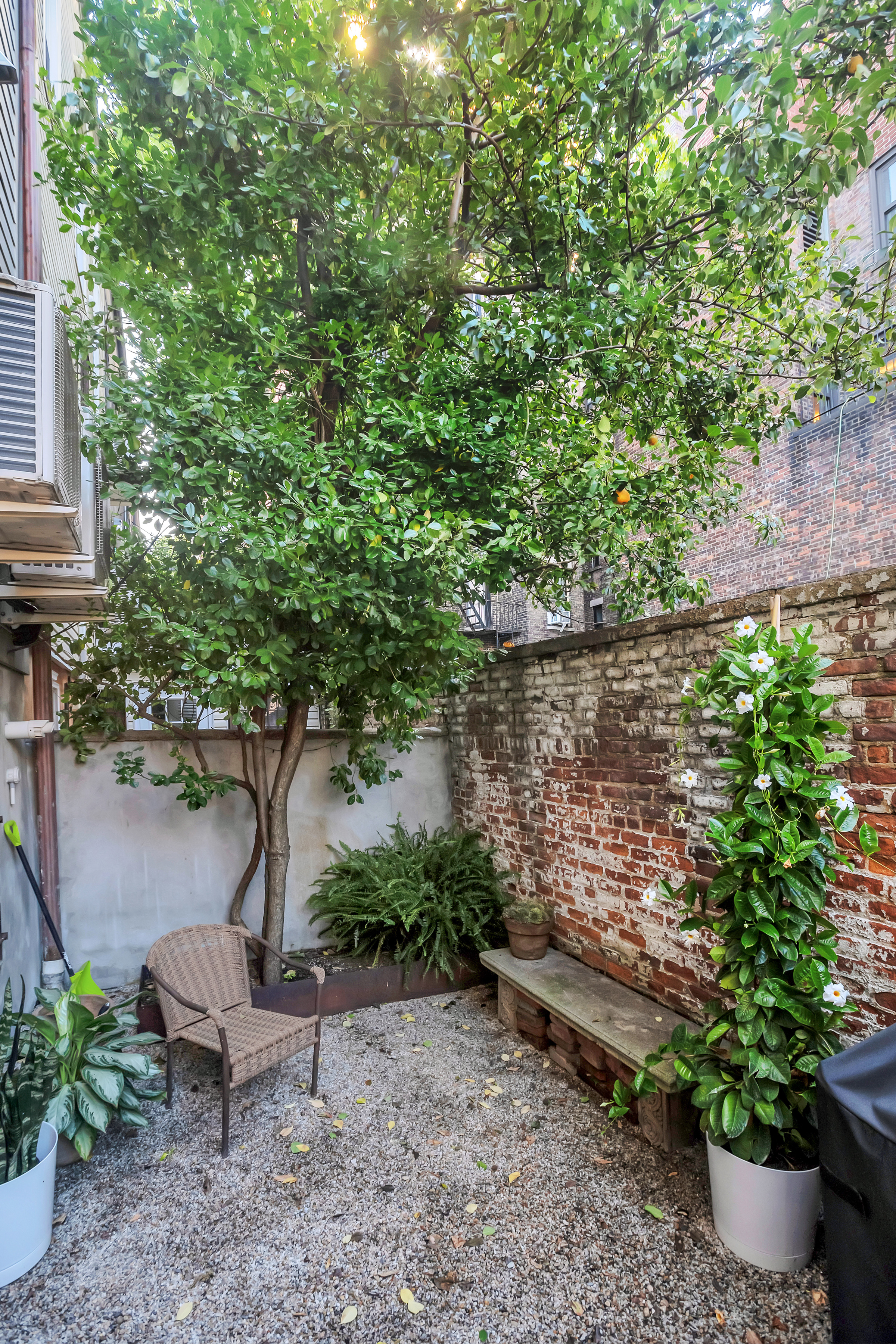 8 Sylvan Terrace Manhattan, NY 10032 - Photo 8 of 30