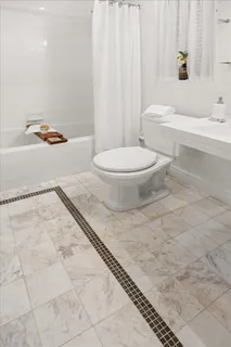 a bathroom with a toilet and a bathtub