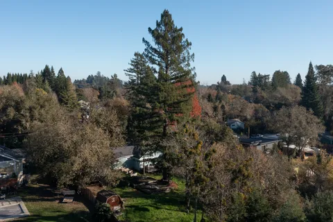 $1,175,000 | 8931 Oak Grove Avenue, Sebastopol, CA 95472