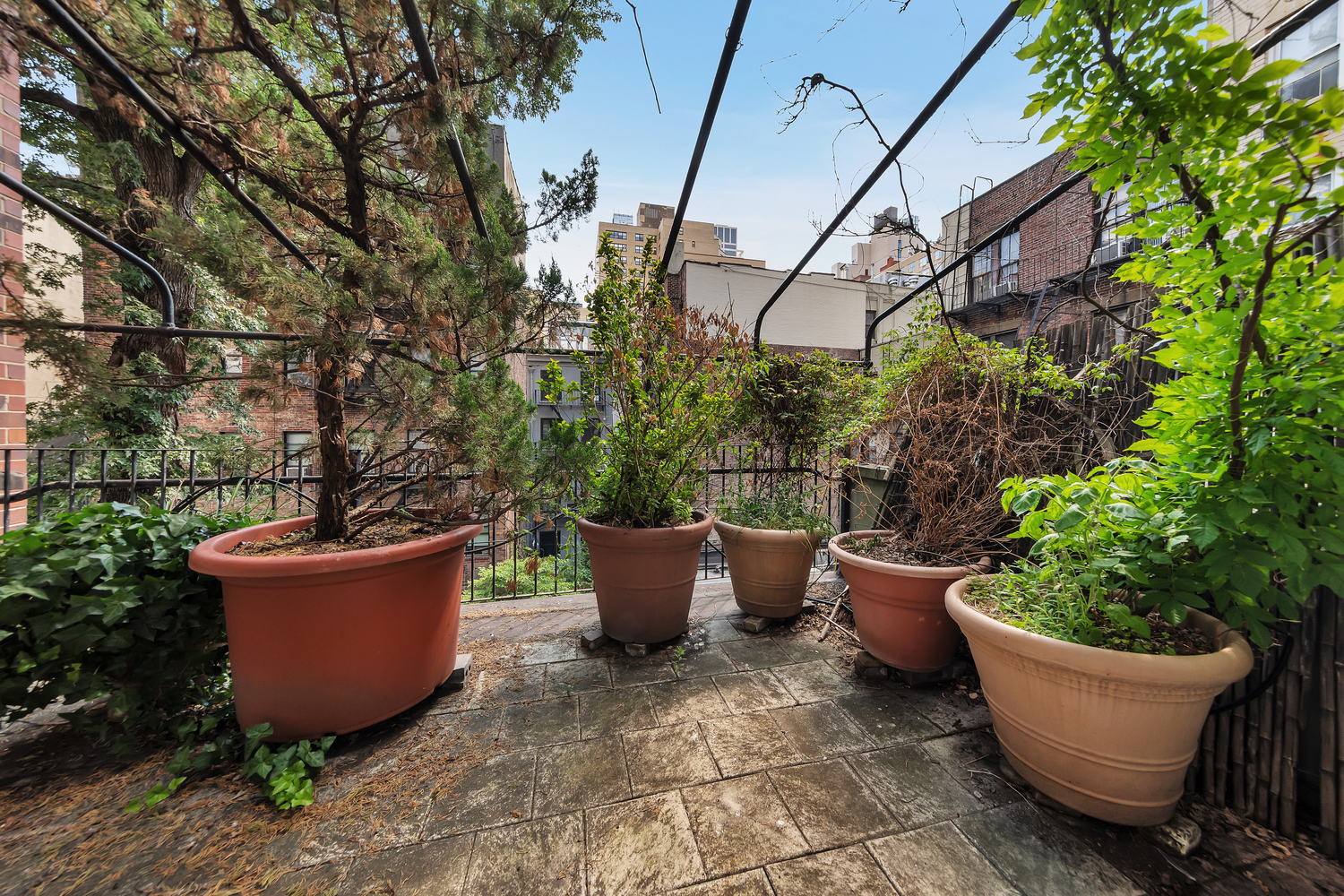 206 East 30th Street Manhattan, NY 10016 - Photo 14 of 17 a view of a backyard with garden and plants
